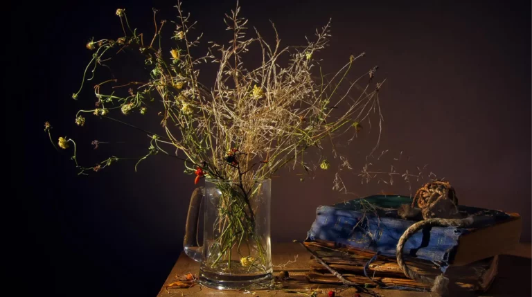 Professional Still Life Photography Techniques