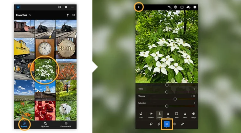 Lightroom Camera